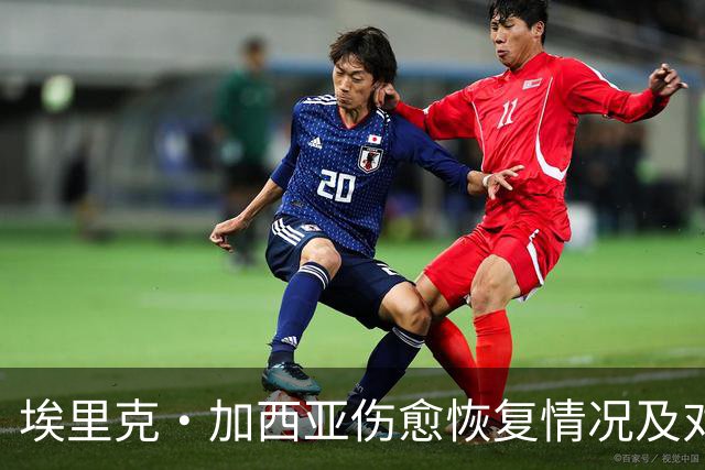 埃里克·加西亚伤愈恢复情况及对巴萨防线的影响分析