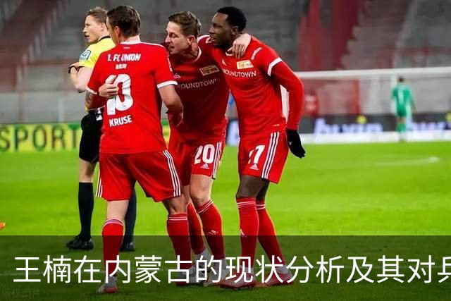 王楠在内蒙古的现状分析及其对乒乓球青训的影响